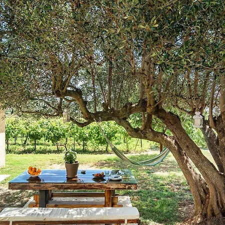 Ktima Dilberaki * Lixouri